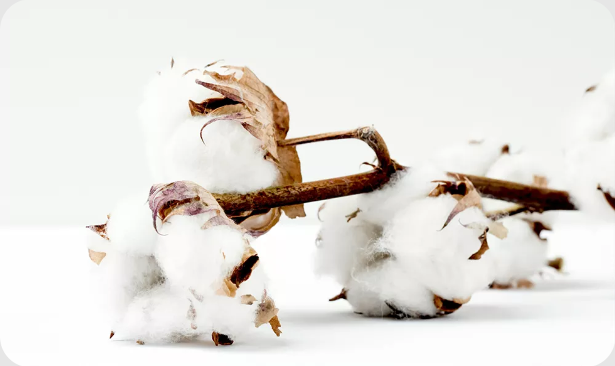 95294198-a365-47b4-916e-188f2fc7e3e5