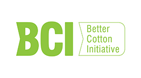 Qualifikationszertifikat BCI